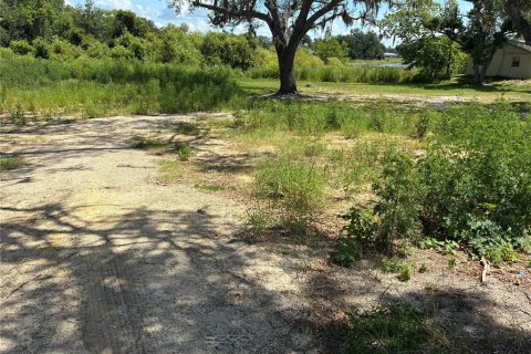 Land in Leesburg, Florida № 2273006 - photo 2