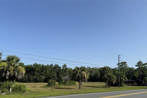 Terrain à vendre à Floral City, Floride № 2222115 - photo 4