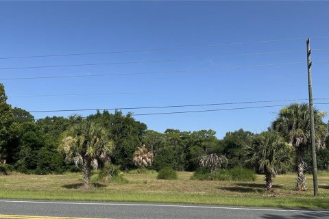Terrain à vendre à Floral City, Floride № 2222115 - photo 3