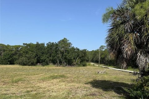 Terrain à Floral City, Floride № 2222115
