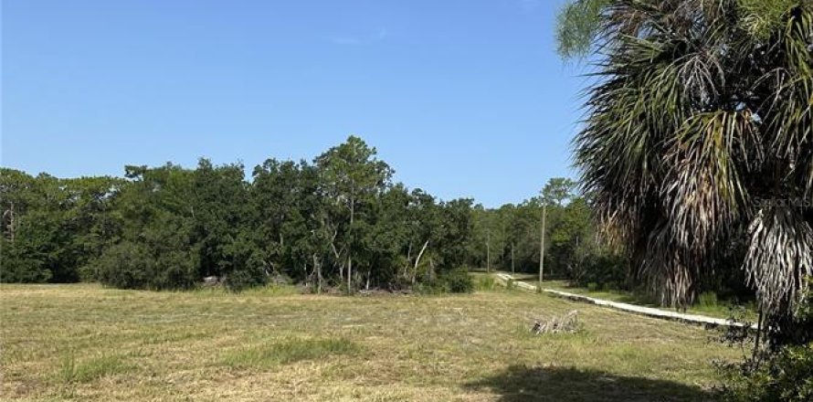 Terrain à Floral City, Floride № 2222115
