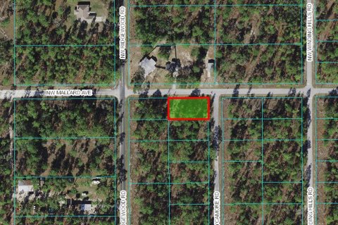 Land in Dunnellon, Florida № 2162648