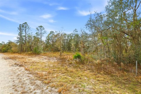 Land in Weeki Wachee, Florida № 2160994 - photo 5