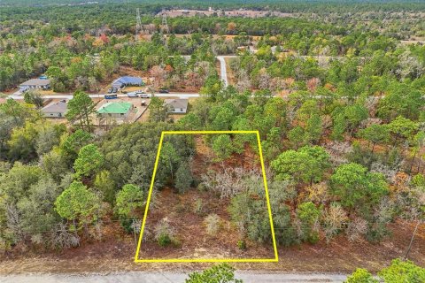 Land in Weeki Wachee, Florida № 2160994