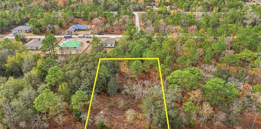 Land in Weeki Wachee, Florida № 2160994