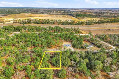 Land in Weeki Wachee, Florida № 2160994 - photo 6