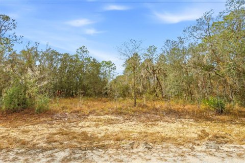 Land in Weeki Wachee, Florida № 2160994 - photo 4