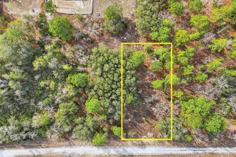 Land in Weeki Wachee, Florida № 2160994 - photo 9