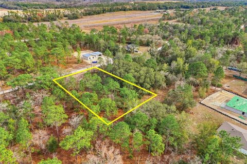 Land in Weeki Wachee, Florida № 2160994 - photo 12