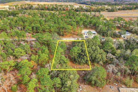 Land in Weeki Wachee, Florida № 2160994 - photo 14