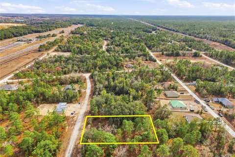 Land in Weeki Wachee, Florida № 2160994 - photo 7