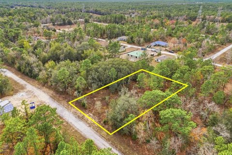 Land in Weeki Wachee, Florida № 2160994 - photo 11