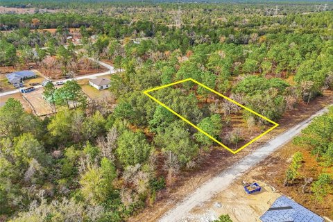 Land in Weeki Wachee, Florida № 2160994 - photo 10