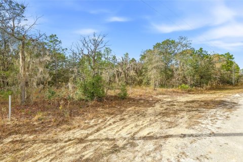 Land in Weeki Wachee, Florida № 2160994 - photo 3