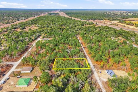 Land in Weeki Wachee, Florida № 2160994 - photo 8