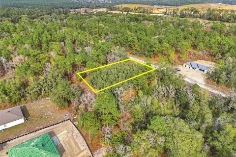 Land in Weeki Wachee, Florida № 2160994 - photo 2