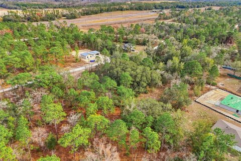Land in Weeki Wachee, Florida № 2160994 - photo 13
