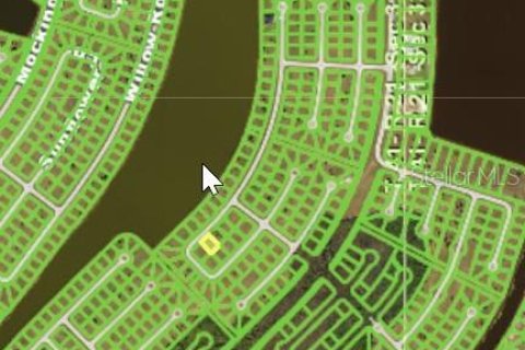 Land in Placida, Florida № 2165012 - photo 3