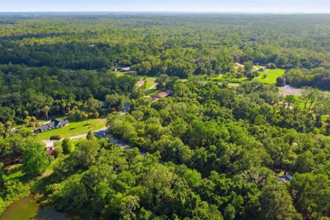 Land in Crystal River, Florida № 2275645 - photo 15