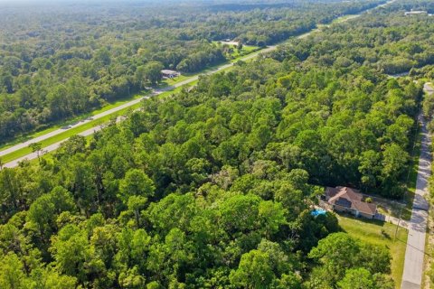Land in Crystal River, Florida № 2275645 - photo 6