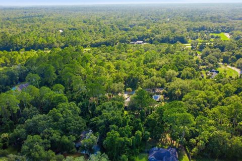 Land in Crystal River, Florida № 2275645 - photo 4