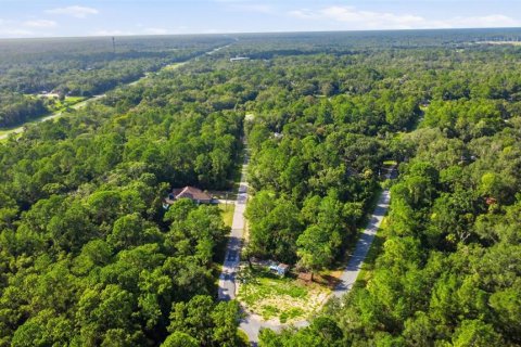 Land in Crystal River, Florida № 2275645 - photo 8