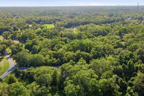 Land in Crystal River, Florida № 2275645 - photo 16
