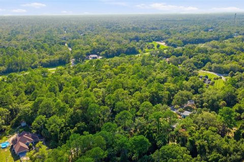 Land in Crystal River, Florida № 2275645 - photo 5