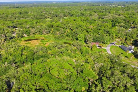Land in Crystal River, Florida № 2275645 - photo 10