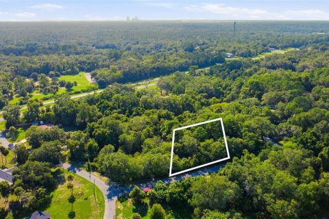 Land in Crystal River, Florida № 2275645 - photo 2