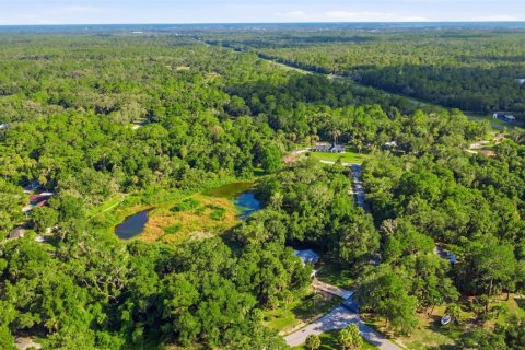 Land in Crystal River, Florida № 2275645 - photo 13