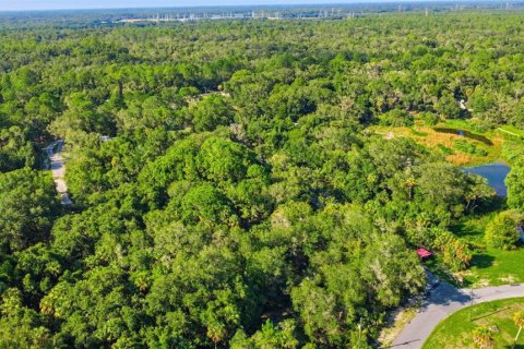 Land in Crystal River, Florida № 2275645 - photo 9
