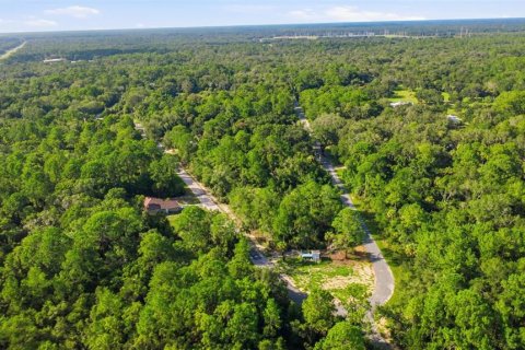 Land in Crystal River, Florida № 2275645 - photo 7
