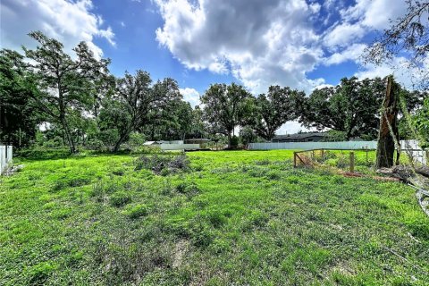 Terrain à vendre à Seffner, Floride № 2239122 - photo 4