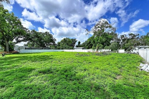 Terrain à vendre à Seffner, Floride № 2239122 - photo 2