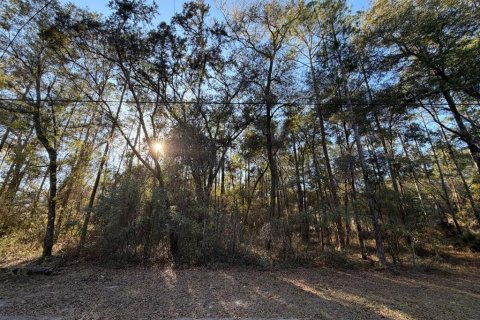 Land in Fort MC Coy, Florida № 2165786