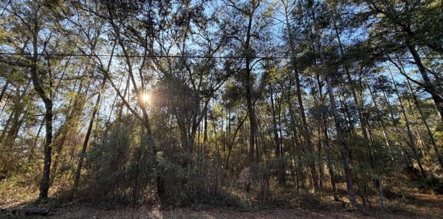 Land in Fort MC Coy, Florida № 2165786