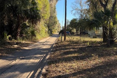 Land in Fort MC Coy, Florida № 2165786 - photo 2