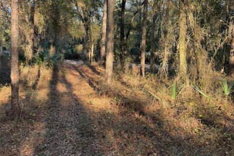 Land in Fort MC Coy, Florida № 2165786 - photo 6