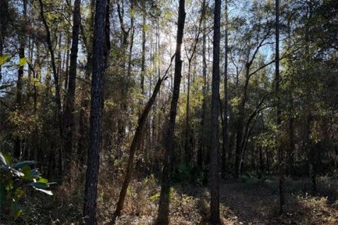 Land in Fort MC Coy, Florida № 2165786 - photo 3