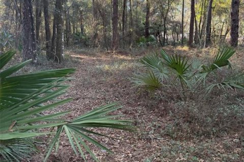 Land in Fort MC Coy, Florida № 2165786 - photo 4