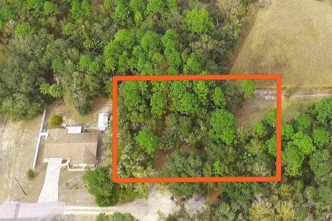 Land in Crystal River, Florida № 2164848
