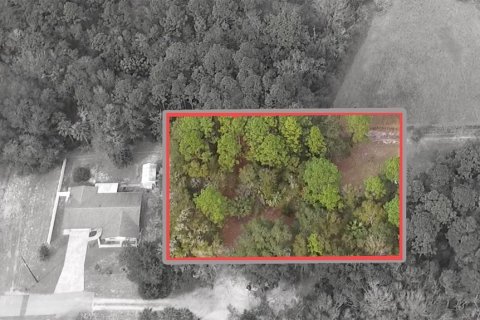 Land in Crystal River, Florida № 2164848 - photo 2