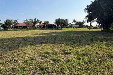 Land in Punta Gorda, Florida № 2166462 - photo 6