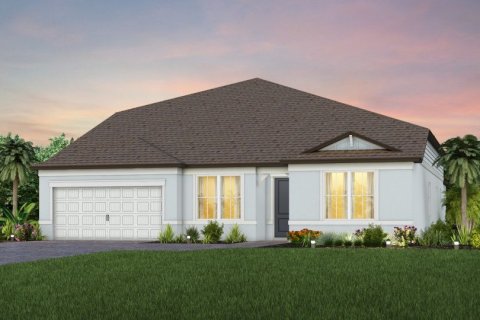 House in Hawks Reserve in Riverview, Florida 5 rooms, 390 sq.m. № 364490 - photo 1