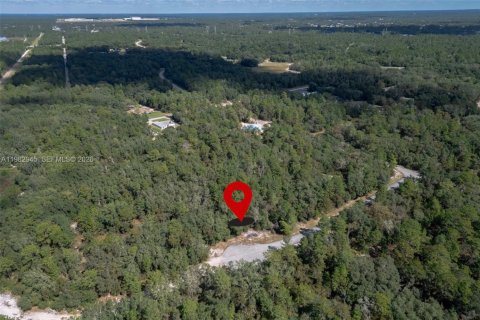 Propiedad comercial en Ocala, Florida № 2080489