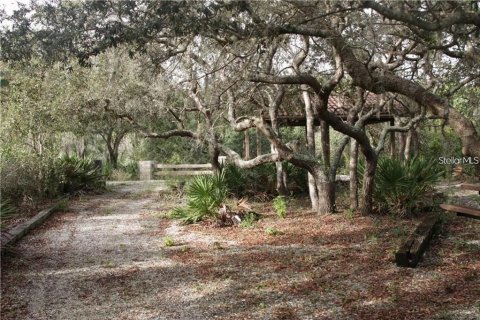 Terrain à vendre à Wimauma, Floride № 2199650 - photo 8