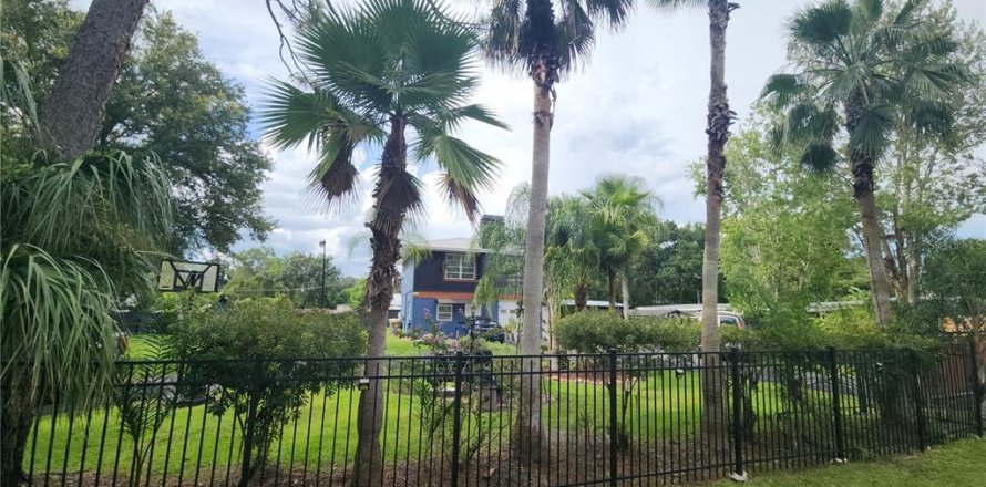 Studio à Kissimmee, Floride № 1522120