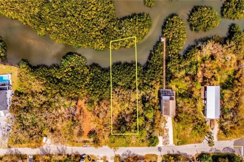 Terreno en venta en Oldsmar, Florida № 1548790 - foto 12
