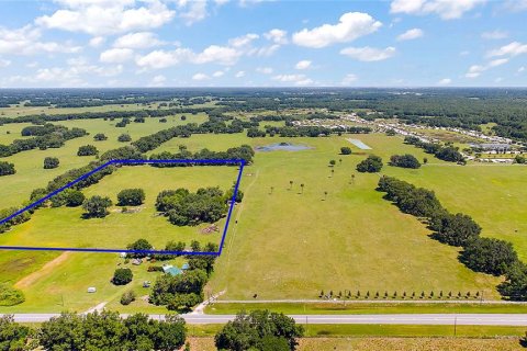 Land in Webster, Florida № 1772848 - photo 2